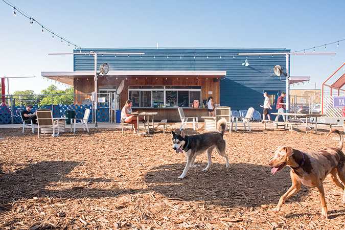 Yard Bar - Austin, Texas 1