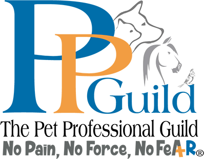 PPG Partner